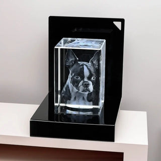 Der 3D-Glasblock Hochformat von Engravy aus Kristallglas zeigt ein lebensechtes schwarz-weißes Boston Terrier-Bild. Er ruht auf einem schwarzen LED-Leuchtsockel auf einem hellen Tisch vor einer schlichten Wand.